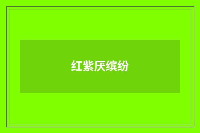 红紫厌缤纷