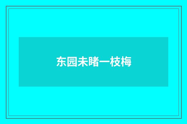 东园未睹一枝梅