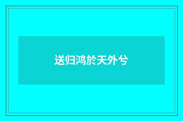 送归鸿於天外兮