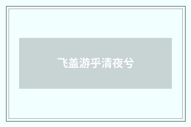 飞盖游乎清夜兮