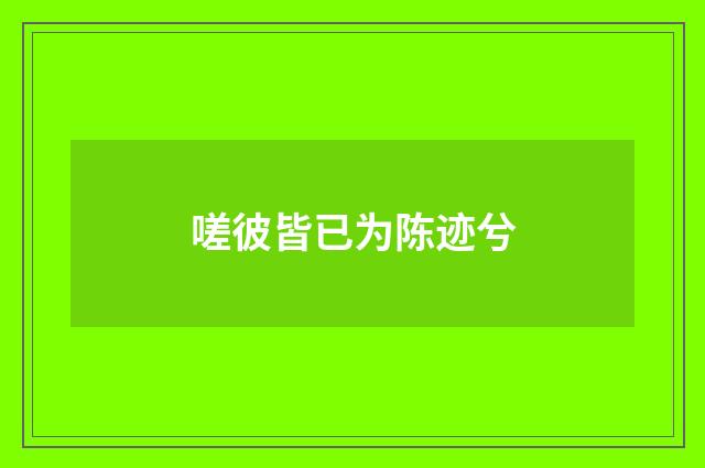 嗟彼皆已为陈迹兮