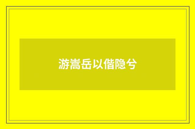 游嵩岳以偕隐兮