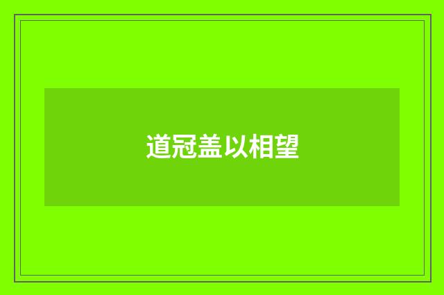 道冠盖以相望