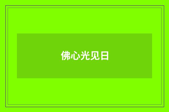 佛心光见日