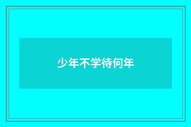 少年不学待何年