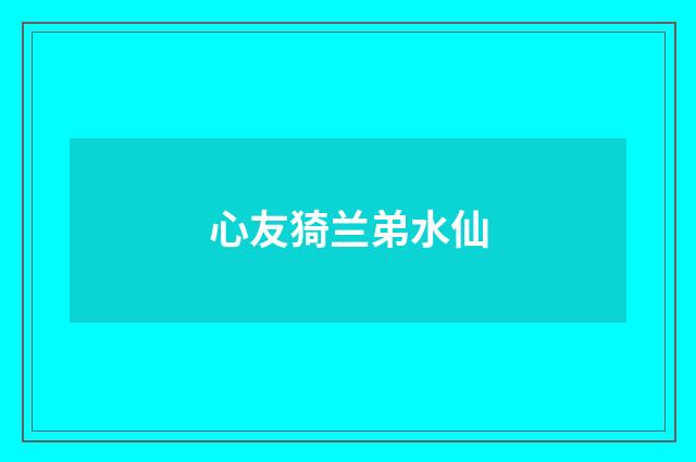 心友猗兰弟水仙