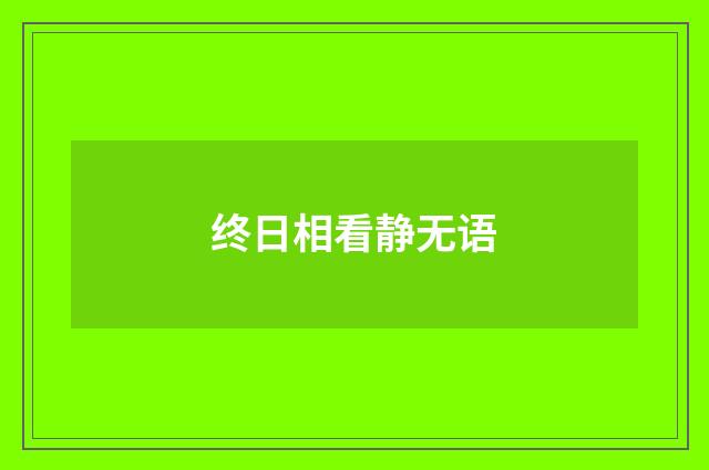 终日相看静无语