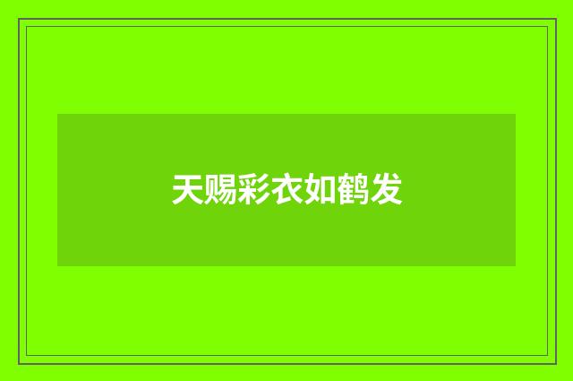 天赐彩衣如鹤发