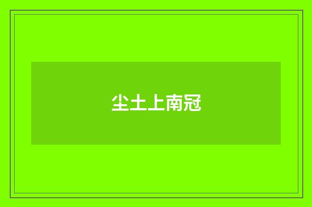 尘土上南冠