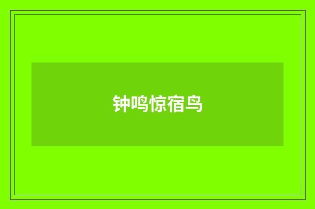 钟鸣惊宿鸟