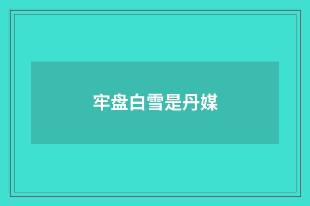 牢盘白雪是丹媒