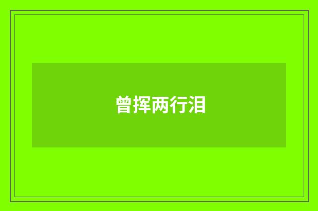 曾挥两行泪