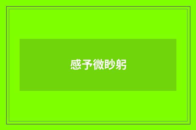 感予微眇躬