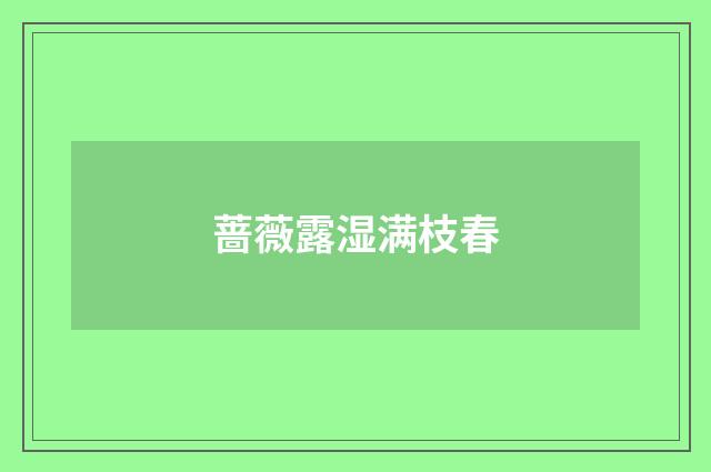 蔷薇露湿满枝春