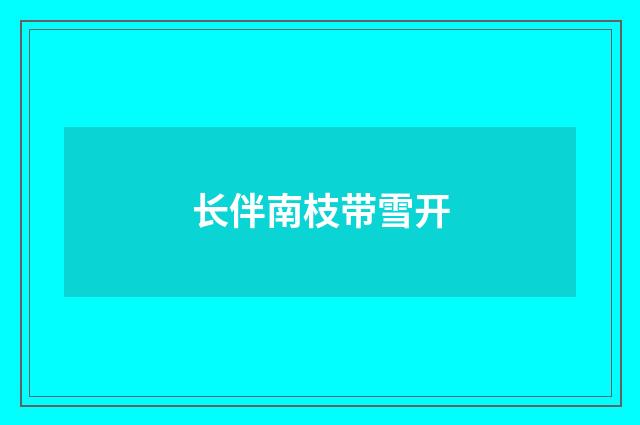 长伴南枝带雪开