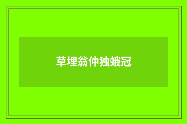 草埋翁仲独蛾冠