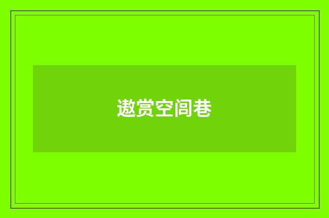遨赏空闾巷