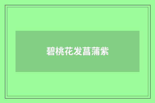 碧桃花发菖蒲紫