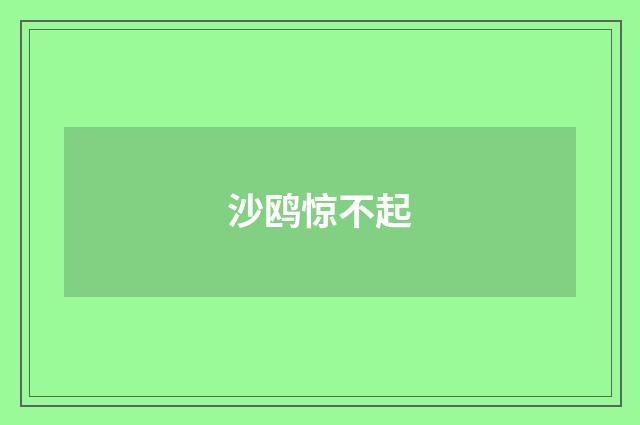 沙鸥惊不起