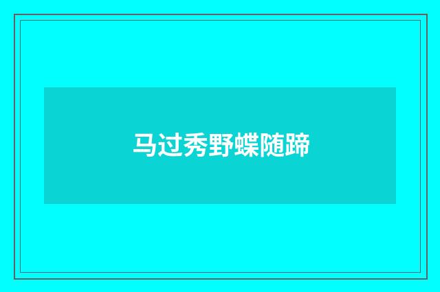 马过秀野蝶随蹄