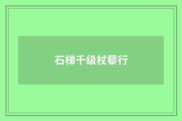 石梯千级杖藜行