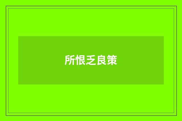 所恨乏良策