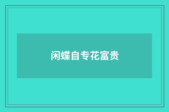闲蝶自专花富贵