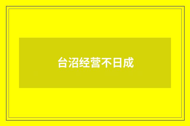 台沼经营不日成