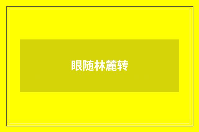 眼随林麓转