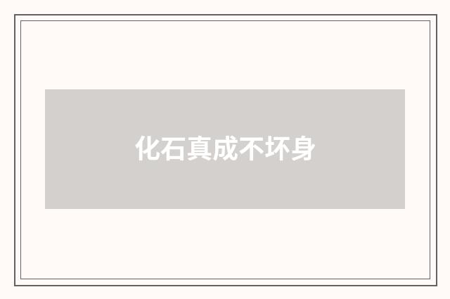 化石真成不坏身