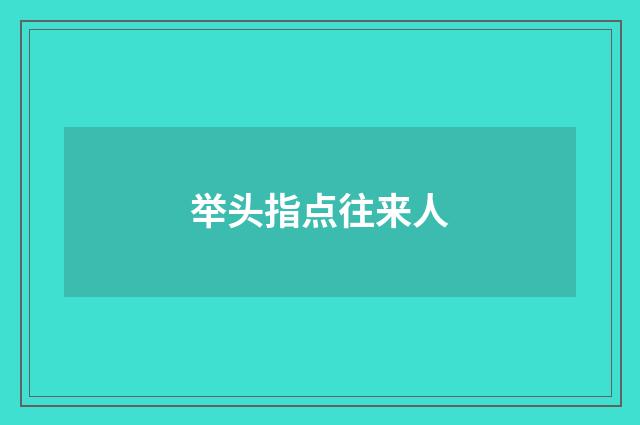 举头指点往来人