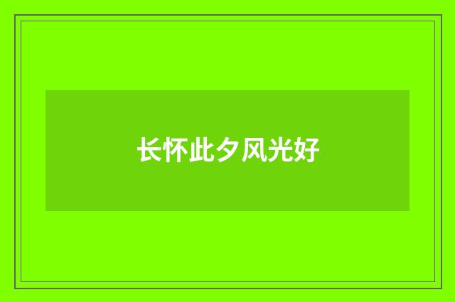 长怀此夕风光好