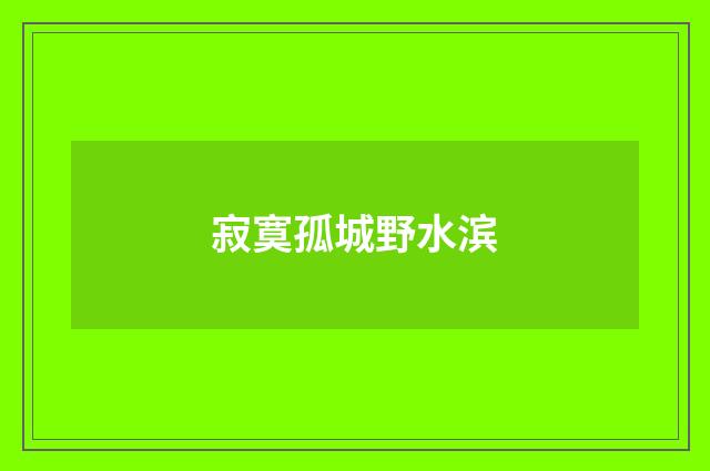 寂寞孤城野水滨