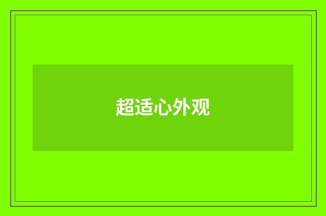 超适心外观