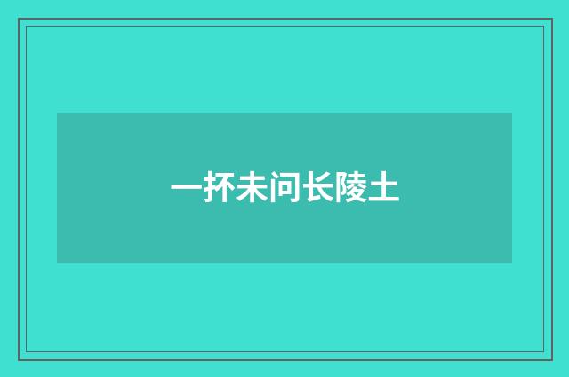 一抔未问长陵土