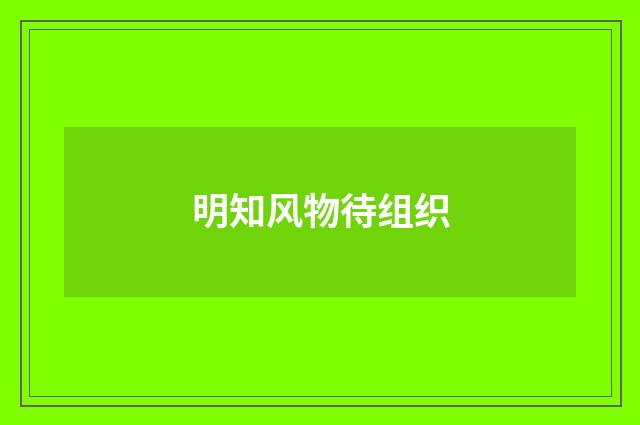 明知风物待组织
