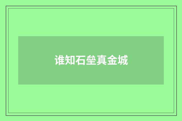 谁知石垒真金城
