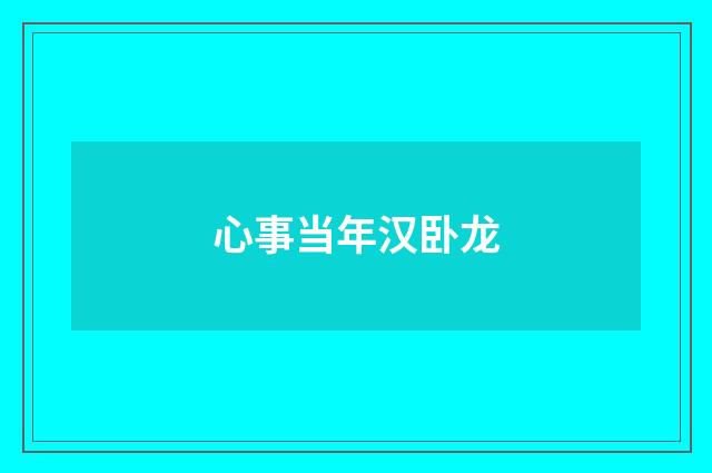 心事当年汉卧龙