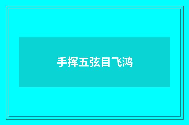 手挥五弦目飞鸿
