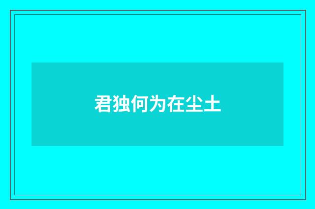 君独何为在尘土