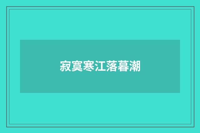 寂寞寒江落暮潮