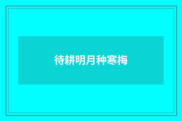 待耕明月种寒梅