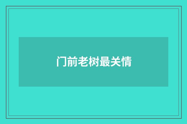 门前老树最关情