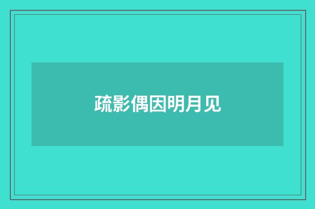 疏影偶因明月见