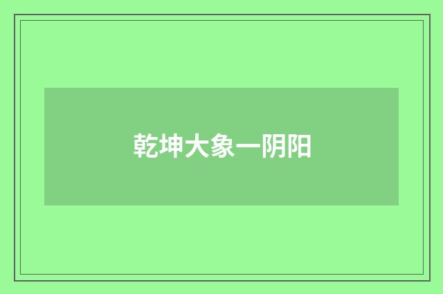 乾坤大象一阴阳