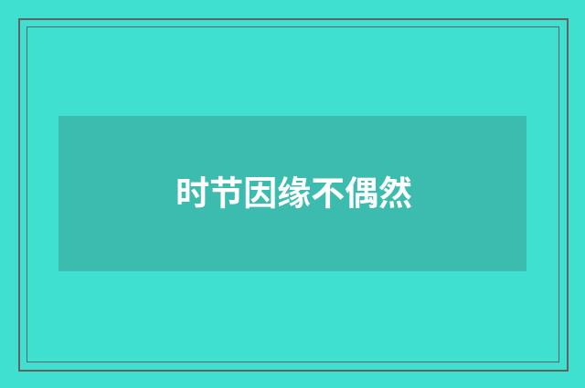 时节因缘不偶然