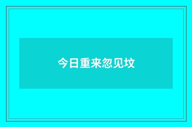 今日重来忽见坟