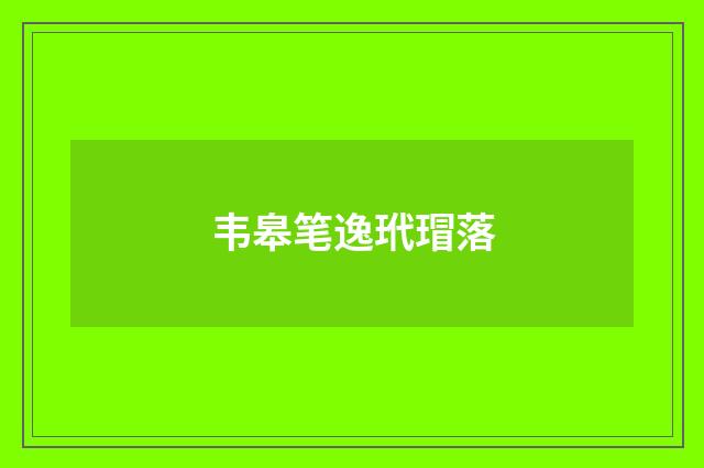 韦皋笔逸玳瑁落