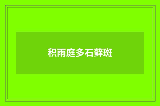 积雨庭多石藓斑