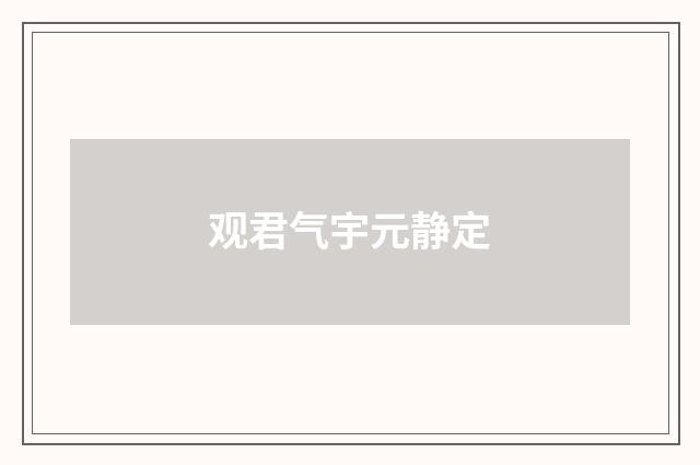 观君气宇元静定